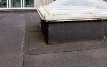 disadvantages of Dunley flat roofs