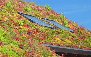 Dunley living roof systems
