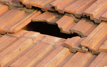 roof repair Dunley