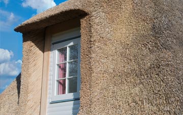 Dunley thatch roof disadvantages